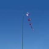 Telescoping Green Windsock Pole - Heavy Duty - 13ft