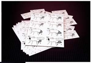 Kit, Frufly Genetics, 30 Students, Hubbard Scientific