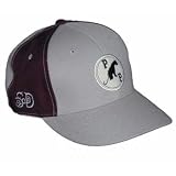 Paterson Panthers Pinwheel Cap
