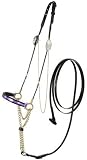 Royal King Arabian Show Halter