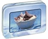 Cats Say It 12 Note Cards By Rachel Hale In a Tin Tree-Free