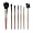 Blush Professional 7 Piece Makeup Brush Set