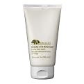Origins Checks and Balances Frothy Face Wash - 5.0 oz.