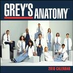 Grey's Anatomy 2010 Wall Calendar