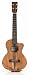 Cordoba 25TK-CE Tenor Cutaway Electric Ukulele Cordoba 25TK-CE Tenor Cutaway Electric Ukulele