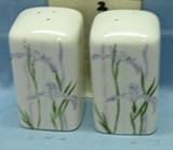 Buy SHADOW IRIS SALT & PEPPER SHAKERS 2 X 2 X 3-5/8 Knowing God: Walking through the Book of Books