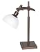 OTT-LITE Pacifica Collection Desk Lamp