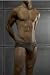 C-in2 Fall 07 Pop Color Low No Show Brief for Men - Olive