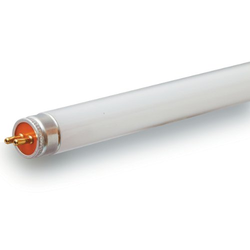 GE 10086 13-Watt Cool Bulb 1-Pack