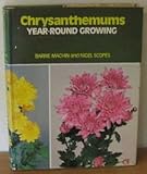 Chrysanthemums : year round growing