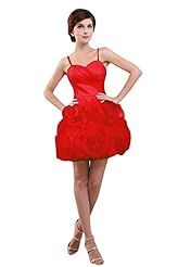 Spaghetti Strap  Organza  Ball Gown Homecoming Dress/Prom Dress/Wedding Dress 