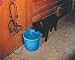 Sporting Goods : Heated Flatback 5 Gallon Bucket