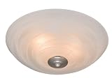 31yHLgZZkeL. SL160  Hunter Markham™ Brushed Nickel Bathroom Fan With Light 81010