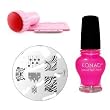 Konad Stamping Nail Art M69 Zebra Pedicure Image Plate+pink Special Polish+stamper&scrap