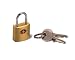Lewis N. Clark TSA Mini Padlock, Bronze