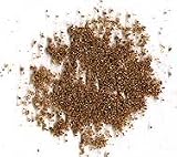 Organic Coriander Powder.