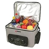 Wagan 18 Liter 12V Sport Cooler / Warmer with Radio