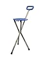 FOLDING SPORTS SPORTING PORTABLE TRAVEL CANE CHAIR SEAT