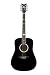 Schecter RS-1000 acoustic guitar (Gloss Black)