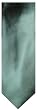 Men's Donald Trump Necktie Neck Tie 100% Silk Green Solid