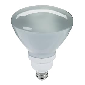 Globe 4408201 23-Watt BR40 Compact Fluorescent Indoor Flood Light Bulb by Globe Electric