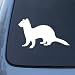 FERRET - Ferrett Weasel - Vinyl Car Decal Sticker #1513 | Vinyl Color: White