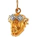 14K Yellow Gold Head Of Jesus Crown Diamond Pendant