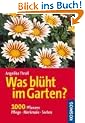 Was bl�ht im Garten?