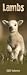 Lambs 2009 Slim Appointment Calendar