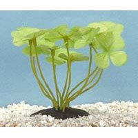 Hydroclover Plant - Small - 4 in.