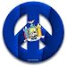 Peace Symbol Magnet of New York Flag