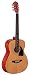 Oscar Schmidt  OG2CEB Acoustic Guitars OF2