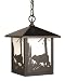 Vaxcel International Lighting Outdoor Pendant