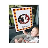 Sunshade - Florida State University