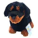 Webkinz Dachshund with Trading Cards