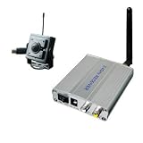2.4ghz Wireless Hidden CCD Color Camera Audio System *
