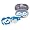 Detroit Lions