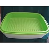 Tupperware Large Season Serve Lime Aid Green