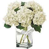 Flowers - White Snow