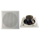 Pyle Home PDIWS8 8-Inch In-Wall High Power Subwoofer