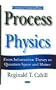 Process Physics: From Information Theory To Quantum Space And Matter (Contemporary Fundamental Physics)