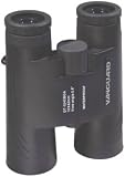 Guardforce DT-1042P