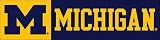 Michigan Wolverines 8 Foot Fan Banner
