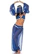 5PC Aladdin Belly Dancer Sexy Holiday Party Costume