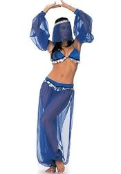 5PC Aladdin Belly Dancer Sexy Holiday Party Costume