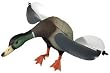 Edge Air Lucky Drake Mallard Decoy