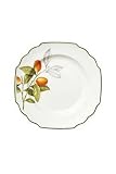 Villeroy & Boch Cascara 10 1/2 dinner plate