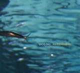 Lucid Fall 4�� - �졦�ߥ���֥�(�ڹ���)