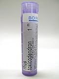 Boiron - Rhus toxicodendron 1M 80 plts