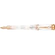 Walt Disney Signature Sleeping Beauty Fountain Pen M